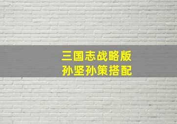 三国志战略版 孙坚孙策搭配